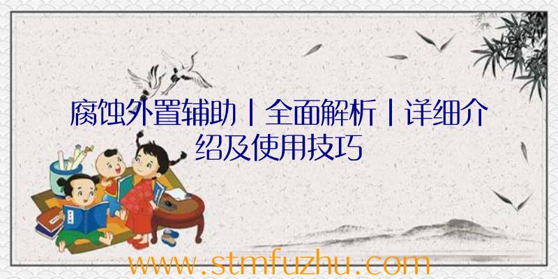 腐蚀外置辅助|全面解析|详细介绍及使用技巧